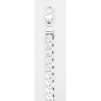 None Hopeinen panssariranneketju 9.2 mm 22 cm PANS250-22
