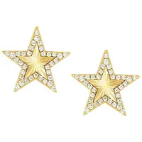 Nomination Truejoy Gold Star tähtikorvakorut 240104/009