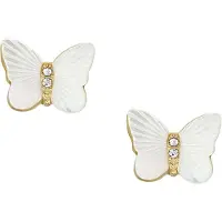 Fossil Jewelry korvakorut JF04422710