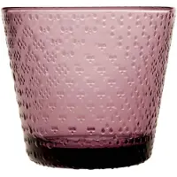 Iittala Tundra juomalasi 29 cl 2-pakkaus Kanerva