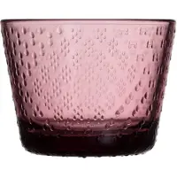 Iittala Tundra juomalasi 16 cl 2-pakkaus Kanerva