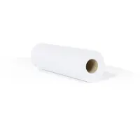 Canon LFM090 TOP COLOUR PAPER 175M 1.067M 90G (1 ROLL) (97001268)