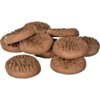 Bosch Biscuits for dogs, cake bucket for teeth care 10kg