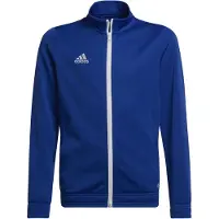 Adidas Entrada 22 Verryttelytakki