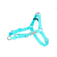 Amiplay Säädettävät koiran valjaat EASY GO Samba, XL, turkoosi