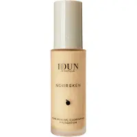 IDUN MINERALS Norrsken Foundation, 30ml, Svea