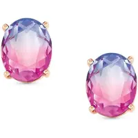 Nomination Symbiosi bicolor stones yksikiviset ruusukullatutu hopeakorvakorut pink-purple 240806/ 030