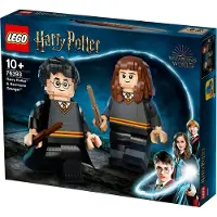 LEGO 76393 Harry Potter - Harry Potter ja Hermione Granger