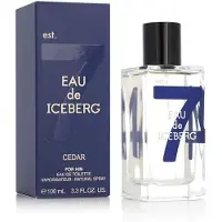 Iceberg Eau de Cedar Eau de Toilette -tuoksu Miehille 100 ml