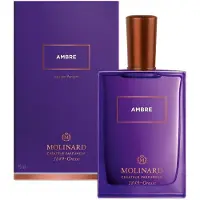 Molinard Ambre Eau De Parfum Spray 2,5 unssia naisille