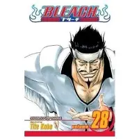 Kubo, Tite Bleach, Vol. 28