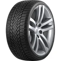 Roadmarch WINTERXPRO 888 225/40R19 93V XL