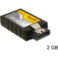 DeLOCK 54351 internal solid state drive 2 GB (54351)