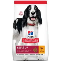 Hill's Pet Nutrition Hills Science Plan Canine Adult Medium Breeder bag Chicken kuivaruoka keskikokoisille koirille, 14 kg