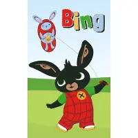 Carbotex BING Pyyhe 30 x 50 cm