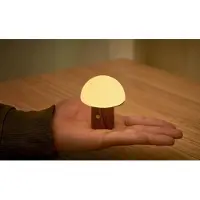 SmartaSaker Ladattava sienivalaisin, Mini Pähkinä