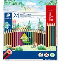 Staedtler - Wopex Coloring Pencils - Box of 24 Assorted (185C24P)