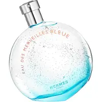 Hermès Paris Eau des Merveilles Bleue EDT W 100 ml