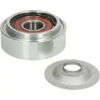 DAYCO Ohjainrulla, moniurahihna APV2399