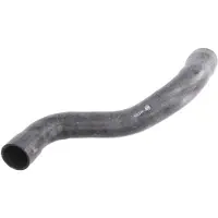 FEBI BILSTEIN Jäähdyttimen letku 101074