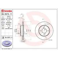 Brembo Jarrulevy (1kpl) 09.D572.11