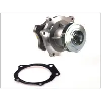THERMOTEC Vesipumppu, moottorin jäähdytys D1Y033TT