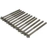 ELRING Sylinterinkannen pultti - Volvo - V70, V60, Xc60, V40, Xc70, V50, S60, S80, S40, C30, C70