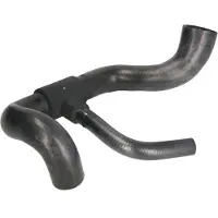 THERMOTEC Jäähdyttimen letku DWX179TT