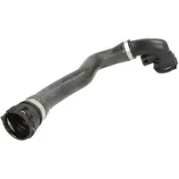 THERMOTEC Jäähdyttimen letku DWB059TT oikea