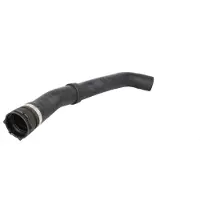 THERMOTEC Jäähdyttimen letku SI-DA11
