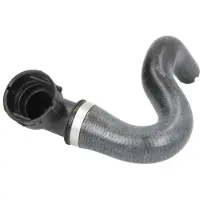 THERMOTEC Jäähdyttimen letku DWX198TT