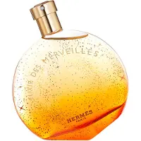 Hermès Paris Hermes Elixir Des Merveilles edp 100ml