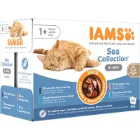 IAMS 48x85g Delights Adult: Sea Mix in Jelly IAMS-kissanruoka