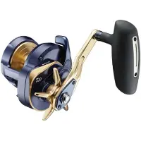 Daiwa Saltiga 2022 Jigging-kela
