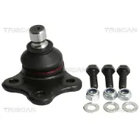 TRISCAN Raidetangon pää, suora 8500 16236
