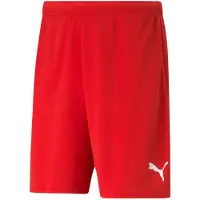 Puma Teamrise Shortsit