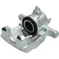 BUDWEG CALIPER Jarrusatula 343904