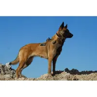 K9 Thorn Delta Dog Harness (Color: Black, Size: Large)