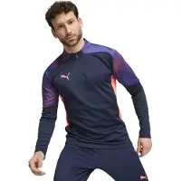 Puma Toiminnallinen paita 'IndividualFinal' laivastonsininen / violetinsininen / pitaija