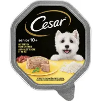 Cesar 14x150g Senior 10+ kana ja riisi koiran märkäruoka