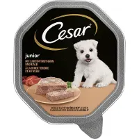 Cesar 28x150g Junior-rasiat kalkkuna ja vasikka koiranruoka.