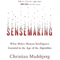 BOKUS Sensemaking