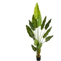 Lykke Tekokasvi Bird Of Paradise 200cm