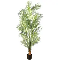 Lykke Arekapalmu 150 cm,