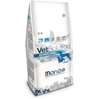 Monge VetSolution Dog Dermatosis koiran kuivaruoka ihon toiminnan ylläpitämiseen dermatoosin aikana, 12 kg