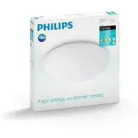 Philips Wavel kattovalaisin 17 W