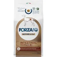Forza10 10kg Active Line Intestinal Colon Phase 2 koiranruoka