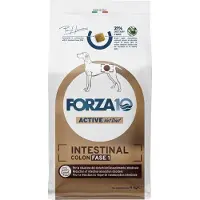 Forza10 Intestinal Colon Fase 1 kuivaruoka koirille, joilla on ruoansulatuskanavan sairauksia, 10 kg