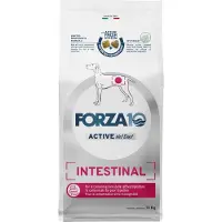Forza10 10kg Intestinal Active Forza 10 Active Line Diet koiran kuivaruoka