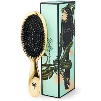 Fan Palm Medium Hollywood Brush